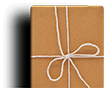 banner Release Book Image
